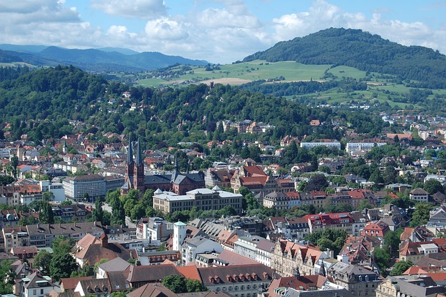 Moderne Solarpanels auf Hausdach mit Wald im Hintergrund